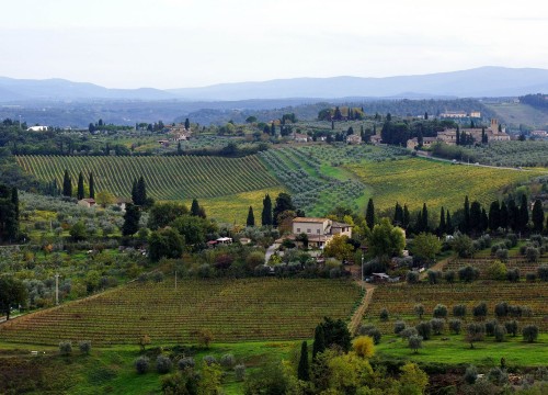 Toscana Postcards