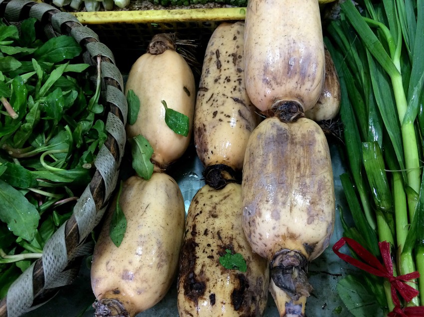 Lume, lume, hai la fructe si legume!