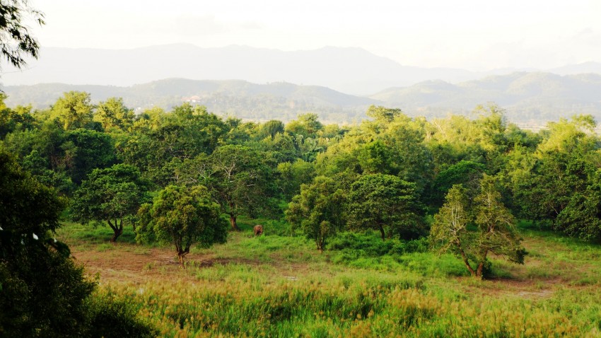 Ghid de calatorie Chiang Rai - Triunghiul de Aur