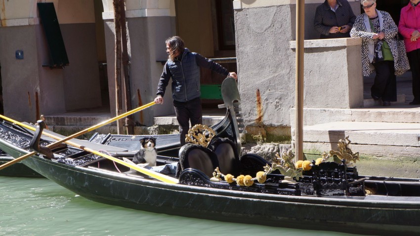 Venetia, Italia