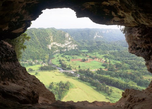 Room with a view