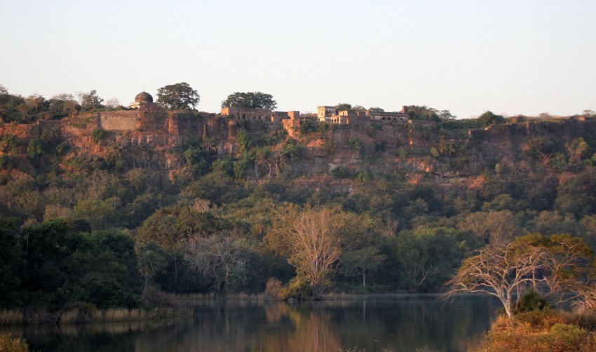 Royal Rajasthan on Wheels: 7 days, a train, a world: the incredible India  -  Day 4 