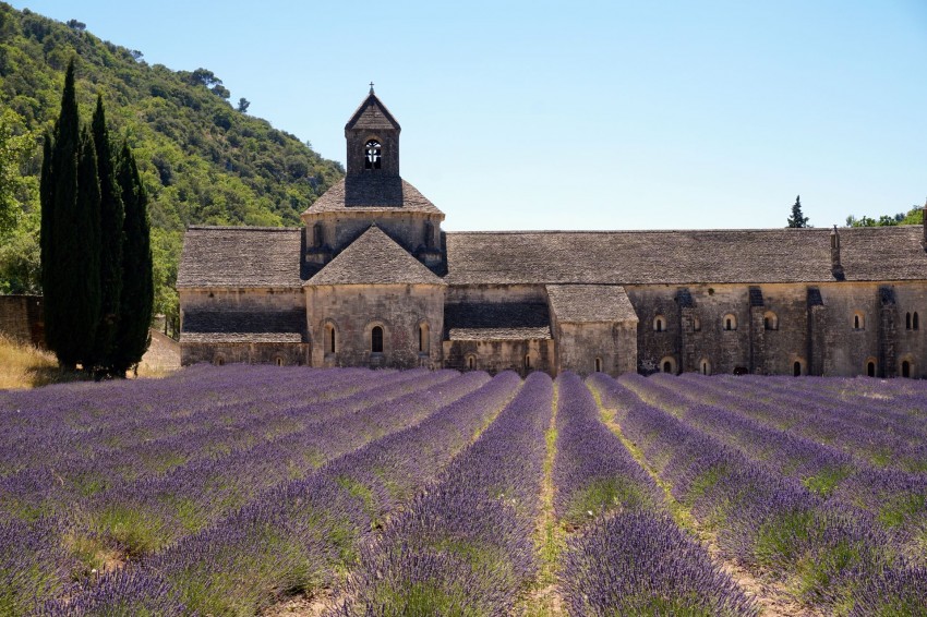 The way stillness… looks like - Provence