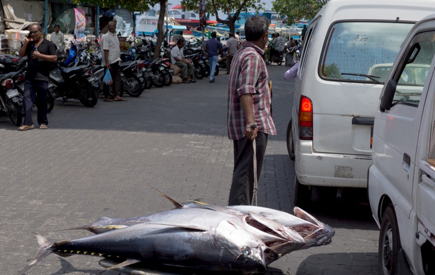 True colors in Maldives