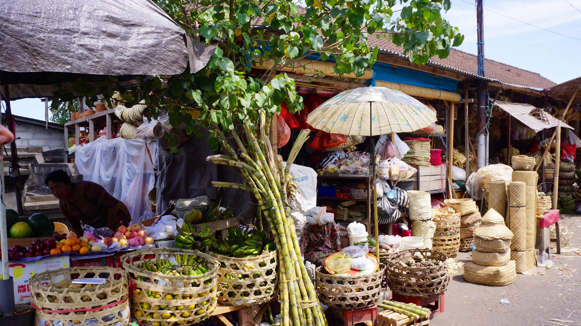 Tropical delicacies