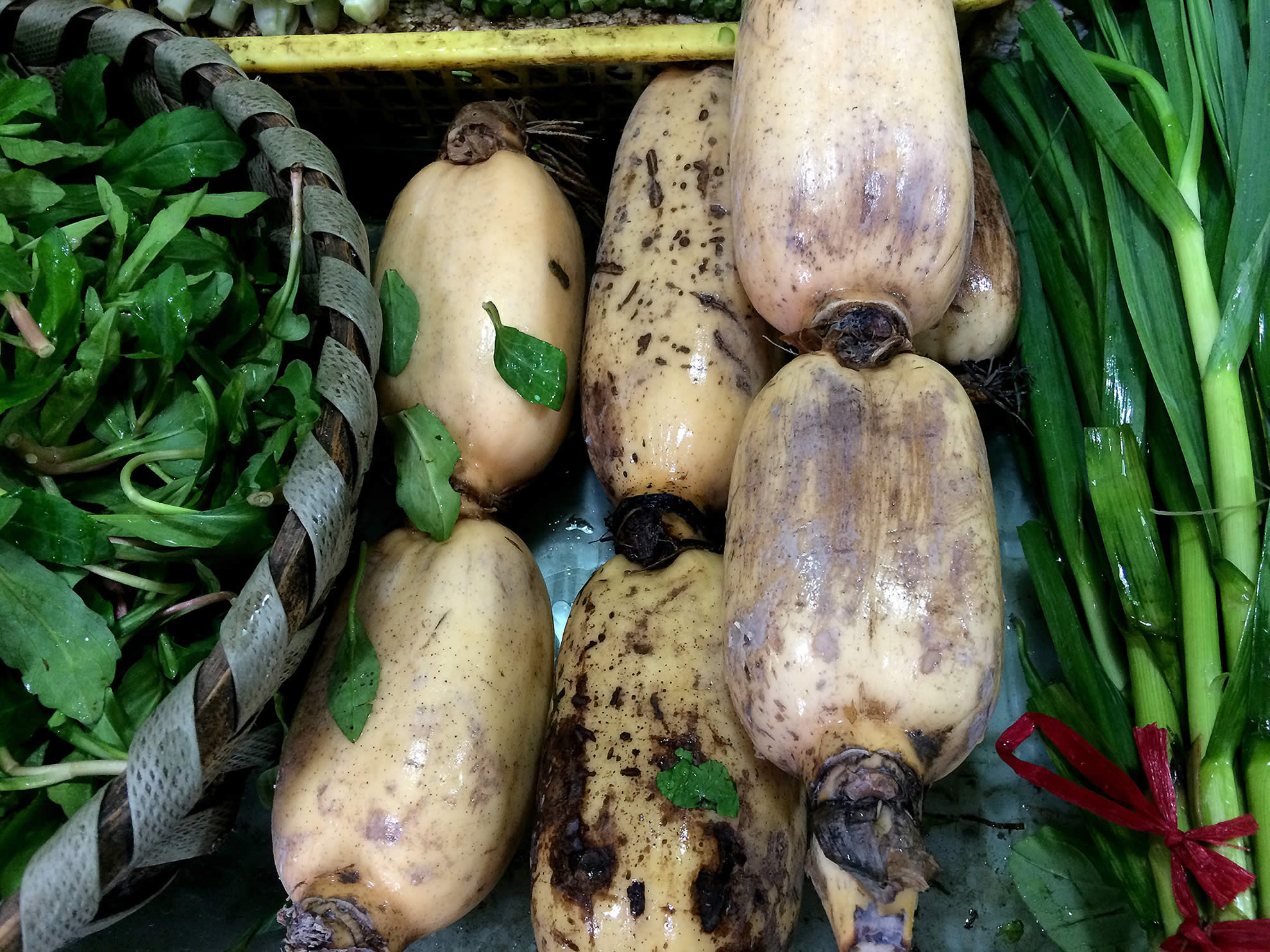 Come on, people, let’s get fruits and vegetables from the greengrocer’s!