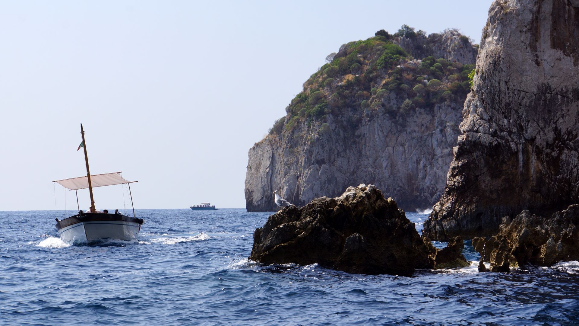 The most popular colour of the world: y es, blue. The Capri version
