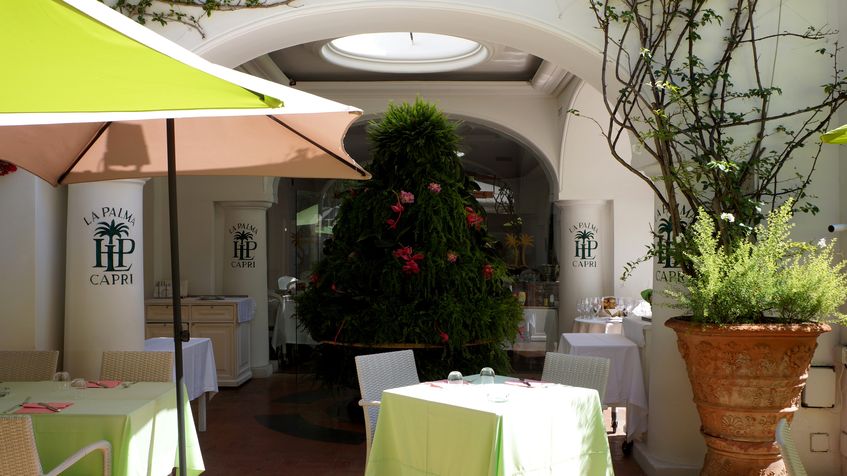 Hotel La Palma Capri