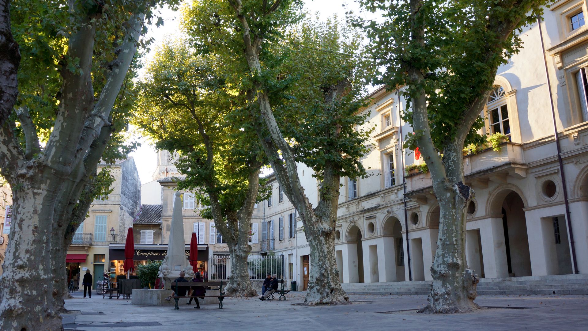 Prophecies come from St. Remy de Provence