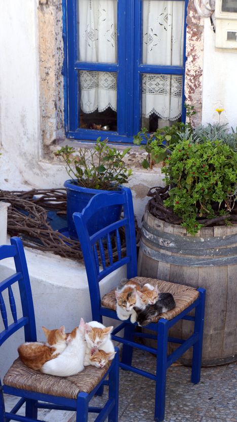 Pyrgos
