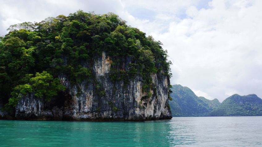 Insula stancoasa, aceperita de vegetatie, Langkawi