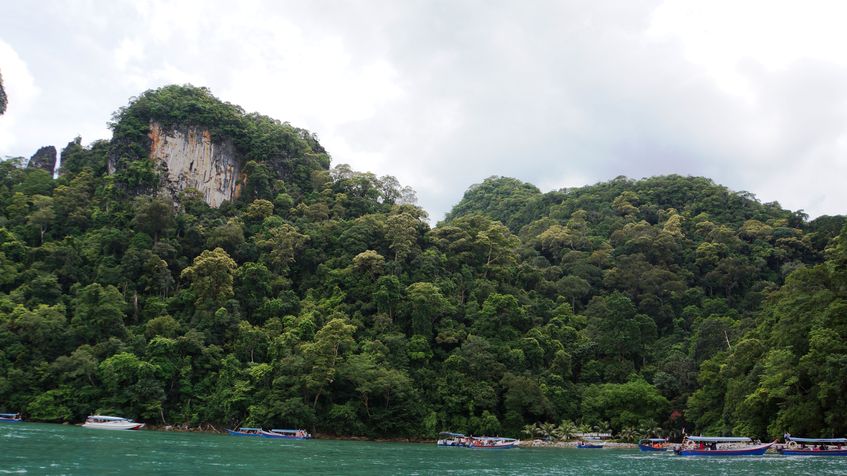 Stanci acoperite de vegetatie, Langkawi 