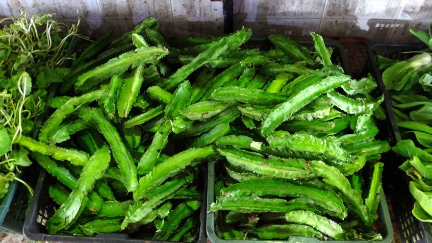 Winged beans, un soi de fasole verde, Langkawi