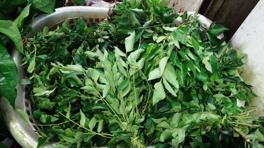 Frunzele de curry, condimen cu proprietati Ayurvedice
