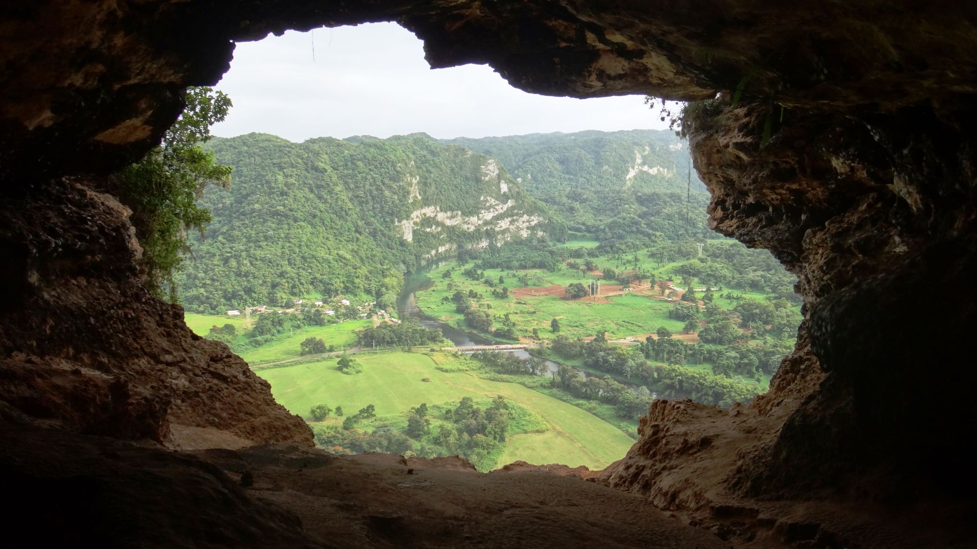 Calatorii
