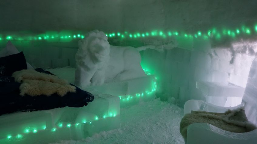 IMG_3885